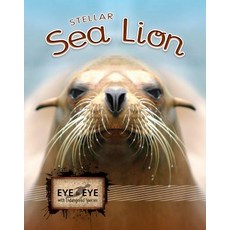 (영문도서) Stellar Sea Lions Paperback