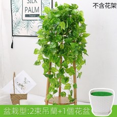 仿真綠蘿客廳掛墻綠植 壁掛植物裝飾 垂吊假花藤 條室內藤蔓吊蘭吊籃, 金色 盆栽綠蘿, 1個