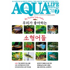 2025년 아쿠아라이프 7월호 [우리가 좋아하는 소형어들], 단품, 단품