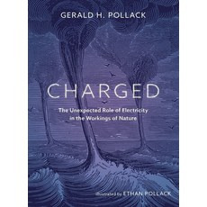 (英文圖書)Charged: The Unexpected Role of Electricity in the Workings of Nature 平裝版, Ebner and Sons Publishers, 英文