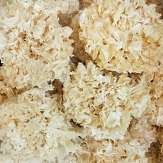 無硫磺 檢驗合格 頂級白木耳 雪耳 銀耳 膠原蛋白, 1個, 一朵