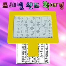 프레넬 렌즈 확대경(2~3배율)-5인용-DTA