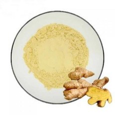 갈랑갈추출분말 100g 샘플, 1개