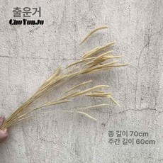 대형 팜파스 드라이 이삭플라워 벼 진밀 천연 귀리 갈대 짚 꽃다발 보리 거실 이삭 플라워, 개꼬리풀 10개, 드라이 플라워 백