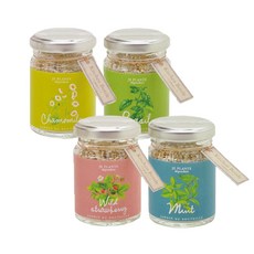 세이신 키친보틀 유리병 4종 미니화분 키우기, 민트+미니딸기+바질+캐모마일