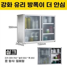부엌 스텐 상부장 주방 선반장 업소용 스테인리스 식당, AF. 강화 유리 도어 E1 750x550x250