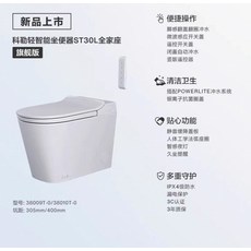 輕智能坐便器 旗艦版 腳感翻蓋 遙控開關 自動除臭 水溫調節 暖風烘乾, 主圖所示, 1個
