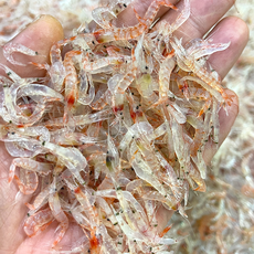 소래포구 김장용 생새우 동백하 (급랭), 1kg, 1개