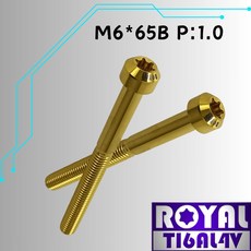 【瘋螺絲】ROYAL 鈦合金螺絲 M6*65B P:1.0 錐形螺絲 土豪金, 1個