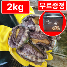 [활전복 산지직송] 완도 직거래 전복선물세트 왕특대, 1개, 왕특대(20-22미) 2kg