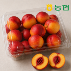 농협선별출고 고당도 천도 복숭아 신선복숭아, 1개, 중과 4kg