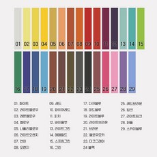 아루무 일본 대박상품 헤어초크 [낱개판매] 일회용 헤어 염색, 28. 퍼플, 1개