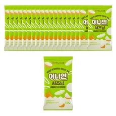 상상 어니언시즈닝(소포장), 10g, 20개