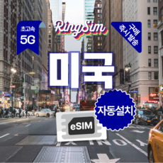 미국이심 5G속도e심 전지역 데이터무제한 뉴욕 LA 여행 esim 유심 링심, 1개, 1일, 5G 데이터 무제한