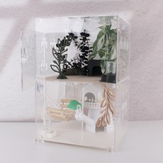 투인원 도마뱀 사육장 30x30x45, 1개, 원도어(칸막이포함)