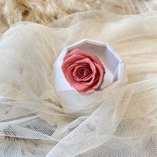 大地農園 永生花/永生玫瑰花材：花球材料、花衷素材、畢業花束素材，多種選擇, G-希臘鳶尾花