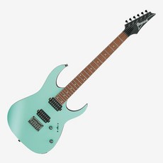 Ibanez RG421S 電吉他 雙雙 無搖座 RG Standard 啞光海岸色, 1個