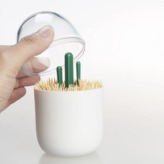 도치코 선인장 이쑤시개케이스 면봉케이스 이쑤시개통 집들이선물 개업선물, 그린화이트
