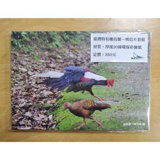 台北鳥大叔 臺灣32種特有種鳥類明信片套組，精美鳥類圖案設計，高品質紙材印刷，值得收藏的台灣生態明信片, 1個, 無編繩