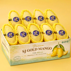 서진수입 태국 남독마이 골드 망고, 1박스, 특품 대과 1kg 3과 내외