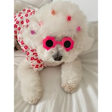 강아지플라워선글라스 애견안경, 핫핑크, 2개