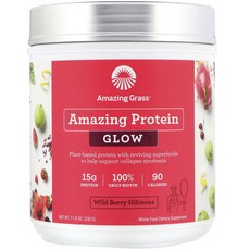Amazing Grass 野莓蛋白質粉, 1個, 330克