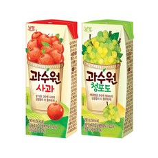 남양 과수원 사과 190ml 24팩 + 청포도 190ml 24팩 48개 1세트