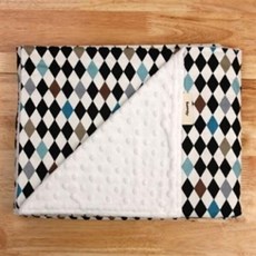 아트박스/빠띠라인 320g 극세사 양면 무릎담요 14종 택1 AMBL