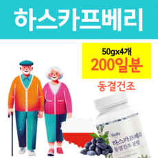 하스카프 베리분말 동결건조 공법 댕댕이 나무 열매 폴란드 하스카프베리 가루 안토시아닌, 4개, 50회분