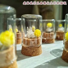 聖哲曼 Saint-Germain 晶簇永生花祝福瓶 白水晶