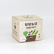 강낭콩 모종 화분 식물 키우기 교육자료 유치원 어린이집 체험 미니텃밭, 상세페이지 참조