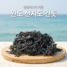 국내 최상품 완도군 신지도 건톳 마른톳, 1개, 300g