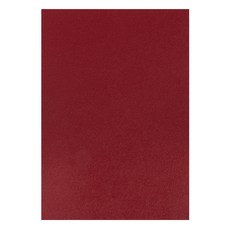 정재단가죽 30X40CM 모음, 03. 앱송, 칠리레드