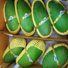 베트남그린코끼리망고( Elephant Green Mango), 1개