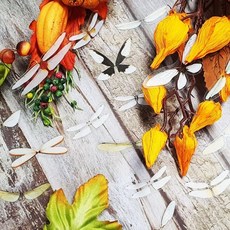 나비 스티커 40P 세트 날개, 상세페이지 참조, 1개