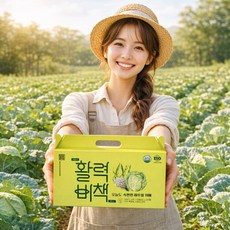 활력비책 맛있는 양배추즙 사과즙 전통원료 양배추 착즙, 30개, 80ml