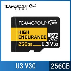 十銓 TEAM 高耐久監控專用記憶卡 UHS-I U3 V30 64G 128G 256G 4K 高耐卡, 1個, 十銓 64G 高耐用度 監控專用卡