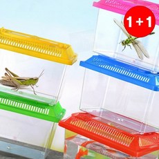 곤충 채집통 관찰통 케이스 어항 물고기 다슬기 채집 박스 대형 소형(1+1상품으로 주문수량의 2배수량 배송), 1개, 1-곤충채집통-소