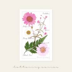 [국내 최초] 프레스코21 프리미엄 압화 레터링시리즈 S, 핑커부