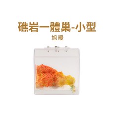 螞蟻帝國 繽紛海底礁岩旭暖石膏巢小型一體式立體雙面蟻巢，#養螞蟻 #蟻巢，新版上蓋設計，安全防逃脫，打造獨特螞蟻生態箱, 1個