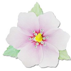 무궁화팽이 5인용 유아미술놀이