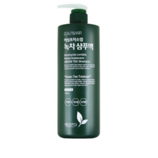 모에타 어성초 자소엽 녹차 샴푸액 지성 두피용, 1kg, 2개