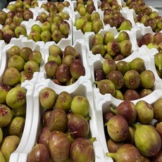 노씨고집 농가직송 국산 정품 영암 무화과, 1개, 2kg