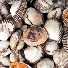 벌교 여자만 새꼬막, 1개, 1kg(소)