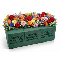 프리미엄 오아시스 꽃들이 좋아하는 오래쓰는 경제적인 꽃 플로랄폼 1개, 초록