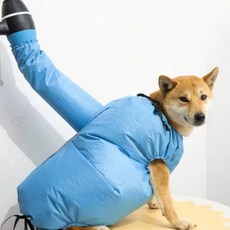 로랑마켓 애견 목욕 드라이수트 강아지목욕용품 강아지털건조 강아지드라이, S