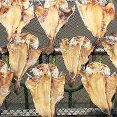 국내산 반건조 400g 1마리(특대 43~50cm) 군산 산지 직, 1개