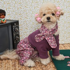 베일리펫 강아지옷 김장조끼 스카프 올인원 전원일기 몸빼 세트, 1개, 꽃자주