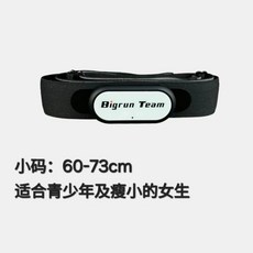 Polar H0 폴라 모니터 체크 스트랩, F. 화이트 헤드 작은 코드 스트랩