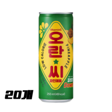 동아오츠카 오란씨 파인애플 캔, 250ml, 20개